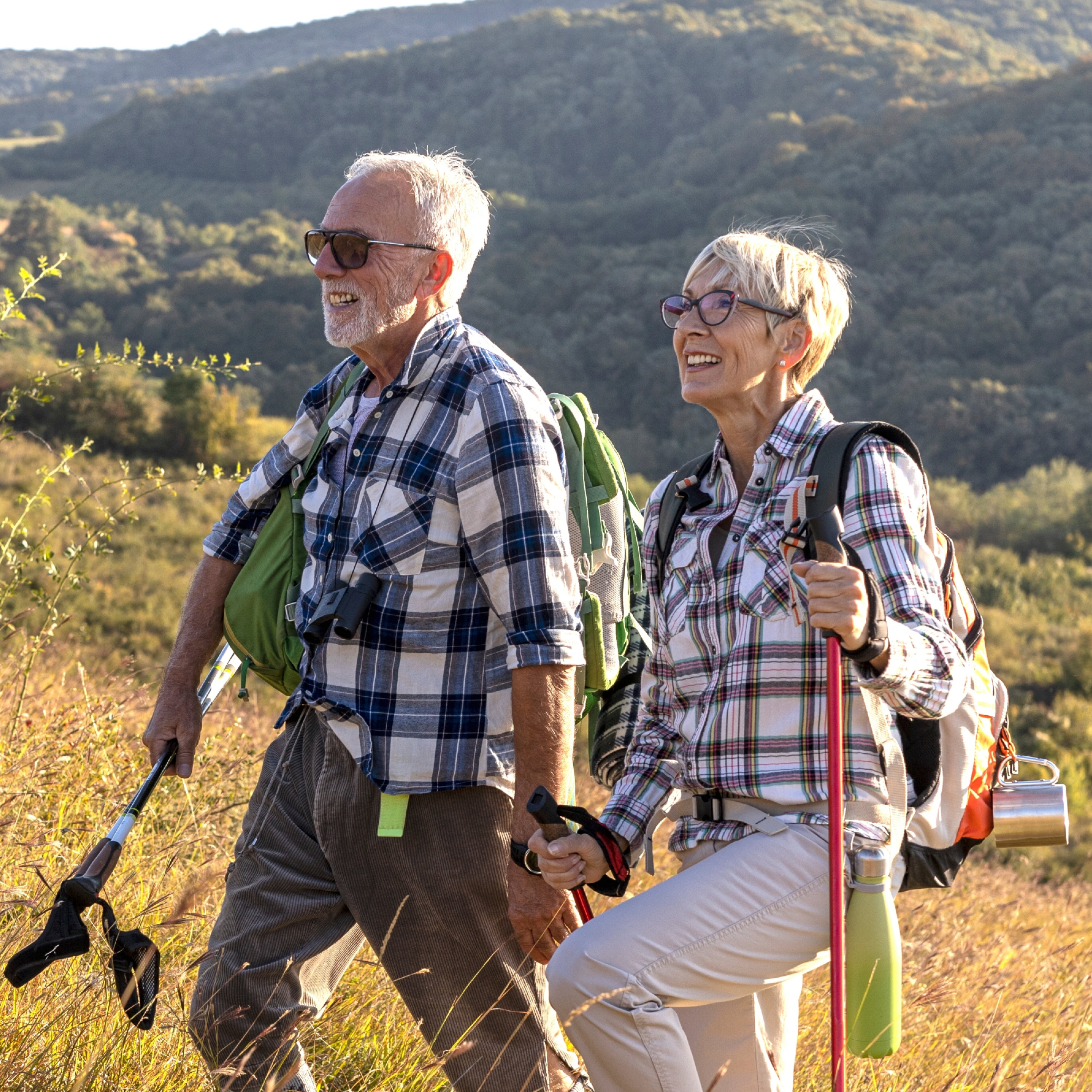 Vieux couple marchant dans la nature